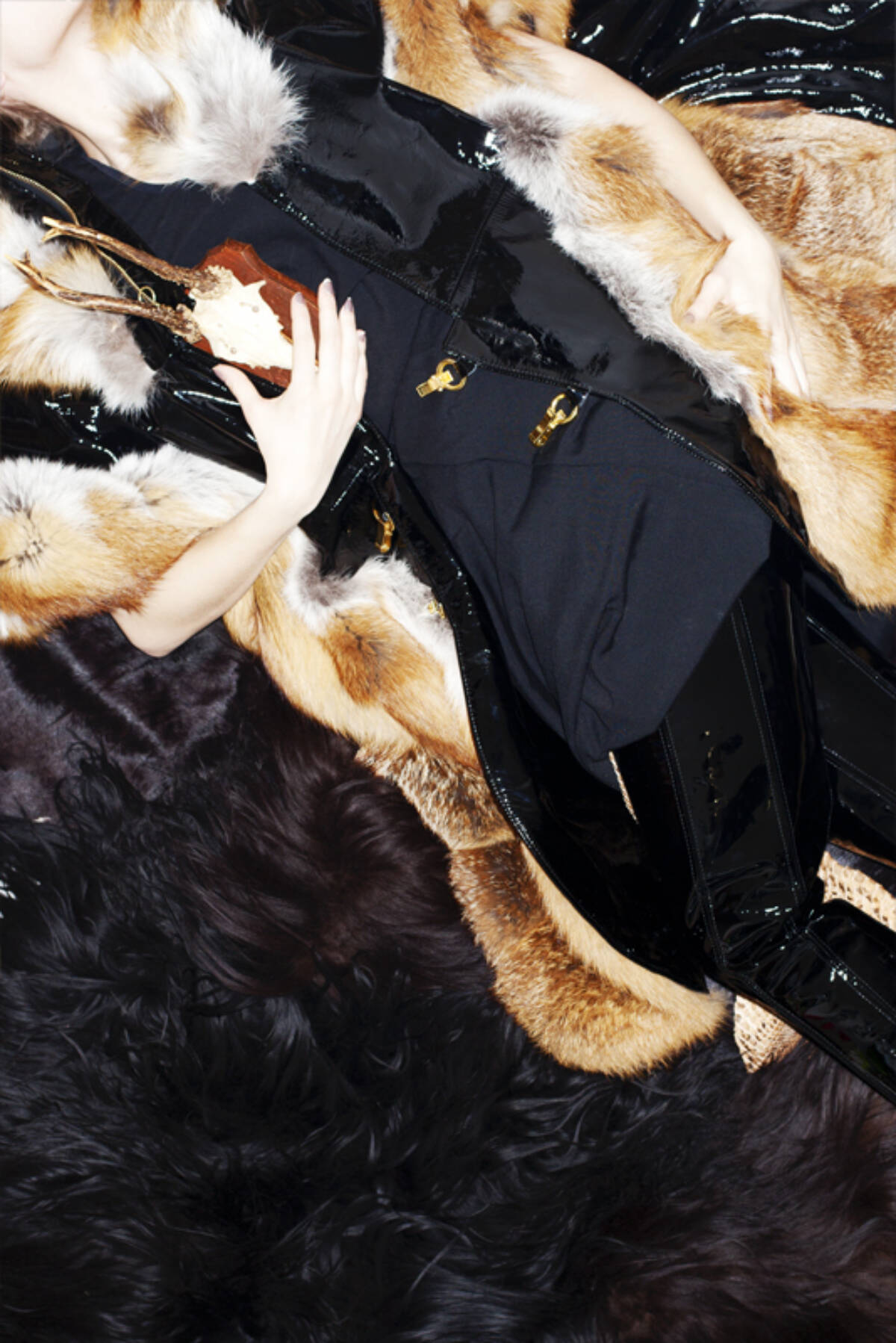 Ccm adcbelle Diana Fischer websize prev cover012