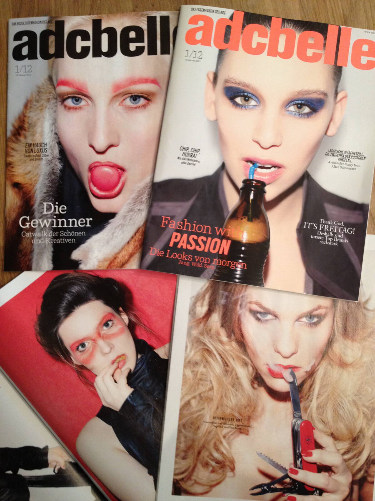 Ccm adcbelle Diana Fischer websize prev cover019