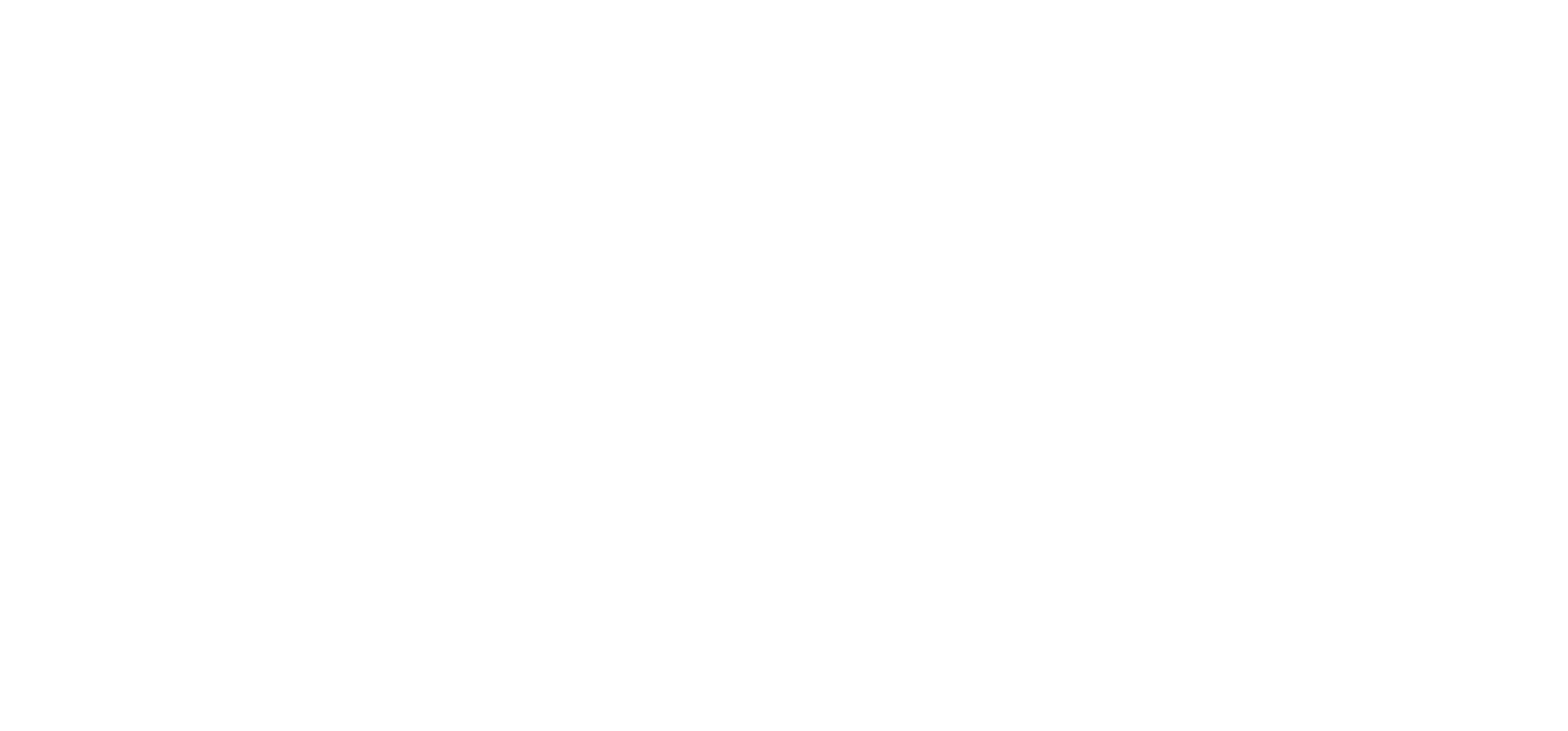 Makeup Hair & Styling
